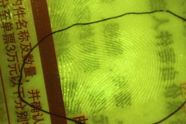 Portabel Forensik Peralatan, Paper Fingerprint Hadir Camera System